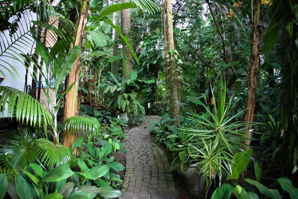 Inn Burundanga Itacare